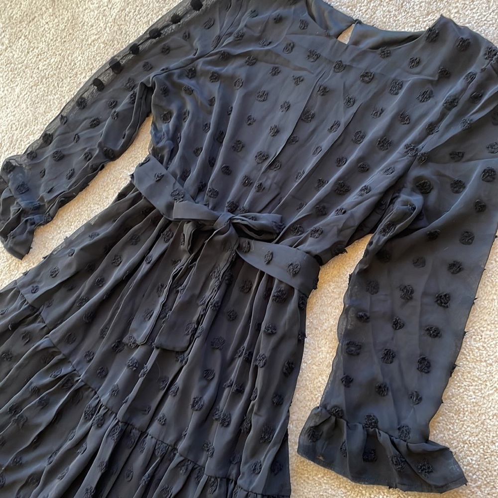 NWT! Long Sleeves Round Neck  Swiss Dot High Waist Chiffon Casual Dress… - Picture 2 of 13